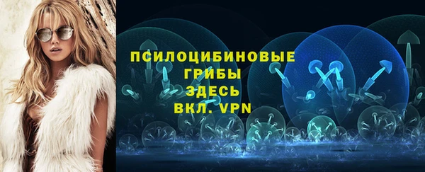не бодяженный Снежногорск