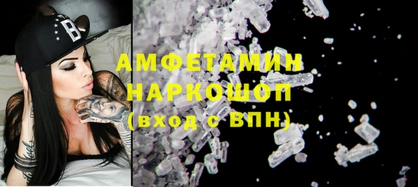 стаф Арсеньев